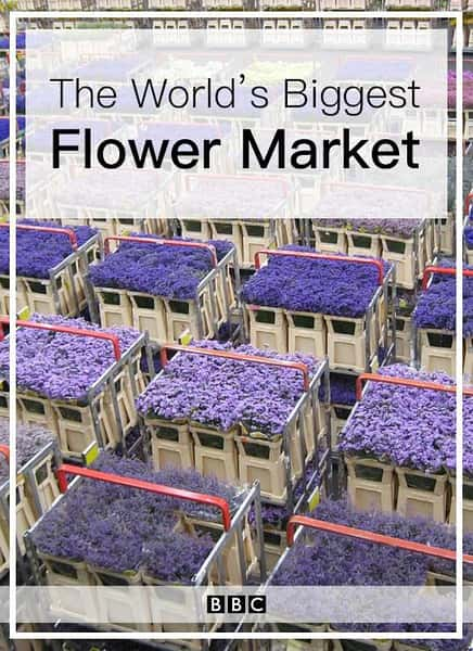 [BBC] ʻг / The World's Biggest Flower Market-Ѹ