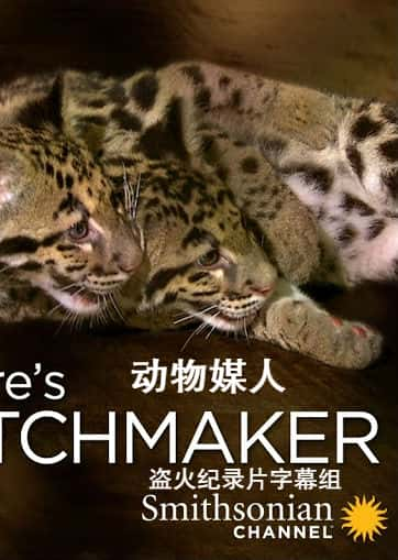 [Smithsonian] ý / Nature's.Matchmaker-Ѹ