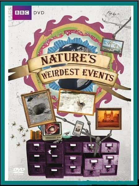 ¼Ƭ--[BBC] Ȼ 1-2 / Nature's Weirdest Events Season 1-21080P