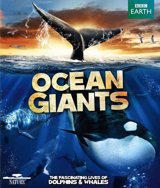 [BBC]  / Ocean Giants-Ѹ