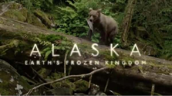 [BBC] ˹ / Alaska-Ѹ