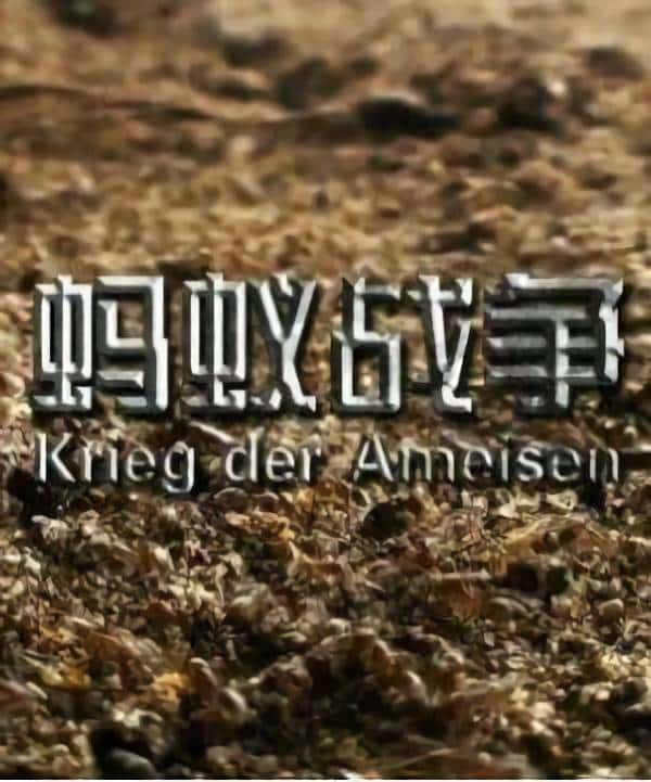 [] ս / Krieg der Ameisen-Ѹ