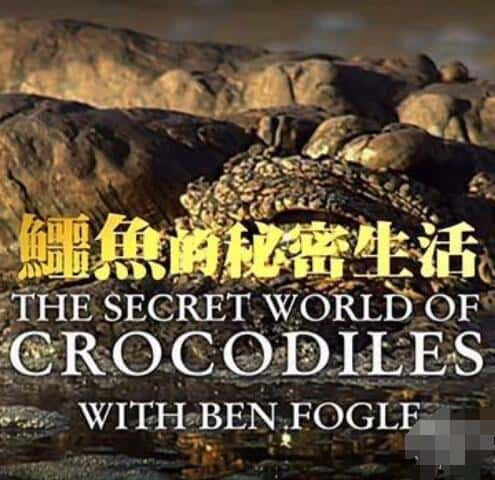 []  / The Secret Life of Crocodiles With Ben Fogle-Ѹ