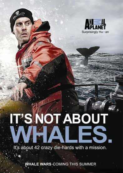 [ҵ] ս  / Whale Wars Season 3/ս-Ѹ