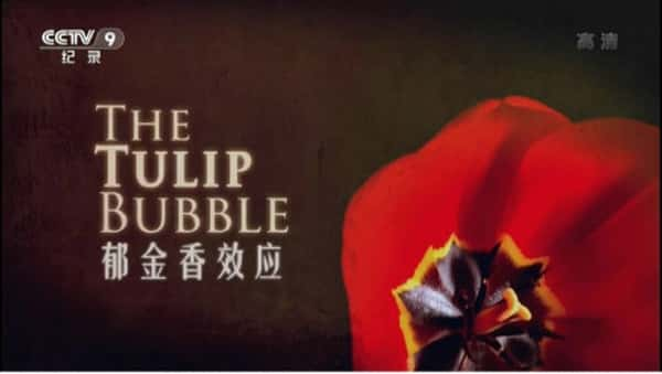 CCTVӽڽ׼¼ƬЧӦ The Tulip Bubbleȫ1¼Ƭٶ-Ѹ