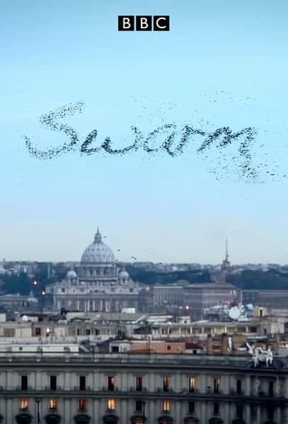 [BBC] Ȼ˼ / Swarm: Nature's Incredible Invasion-Ѹ