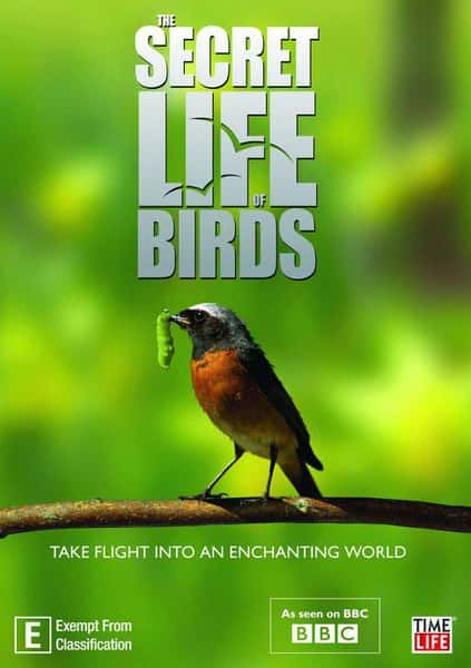 [BBC] 鸟类秘闻 第一季 / Secret Life of Birds Season 1-纪录片资源1080P/720P/360P高清标清网盘迅雷下载