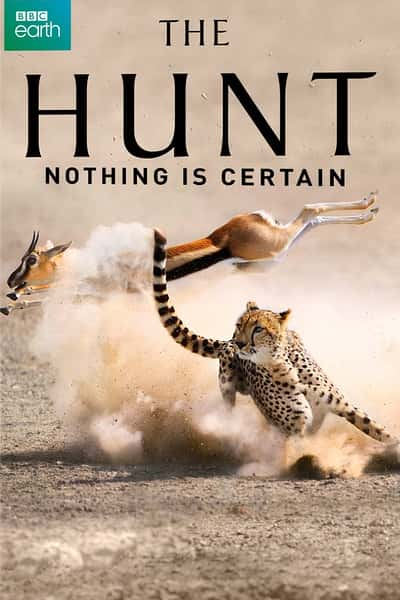 [BBC] Բ / The Hunt-Ѹ