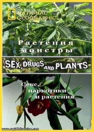 [国家地理] 植物的奥妙世界 / Sex, Drugs And Plants-纪录片资源1080P/720P/360P高清标清网盘迅雷下载