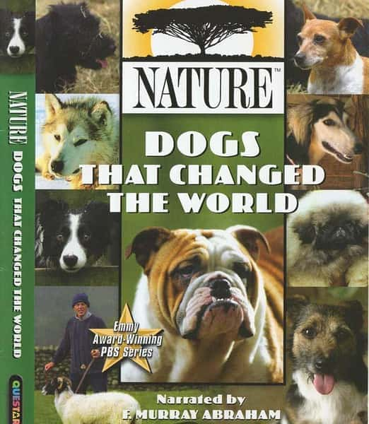 [其他] 改变世界的犬类 / Dogs That Changed The World-纪录片资源1080P/720P/360P高清标清网盘迅雷下载