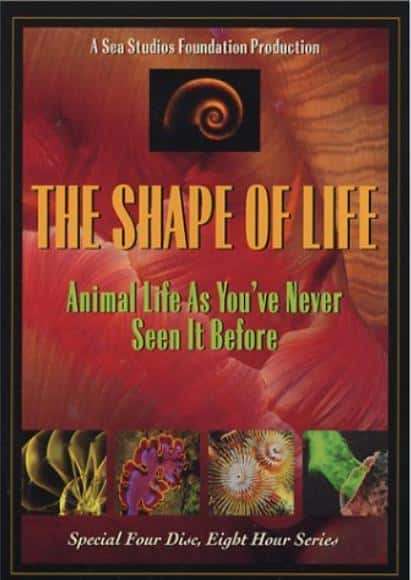 [PBS] 生命的形状 / Shape of Life-纪录片资源1080P/720P/360P高清标清网盘迅雷下载