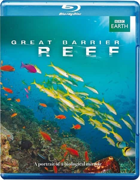 [BBC] 大堡礁 / Great Barrier Reef-纪录片资源1080P/720P/360P高清标清网盘迅雷下载