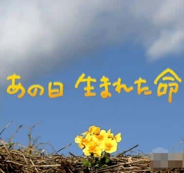 [NHK] 生于3·11 东日本大地震三周年 / 生于3·11 东日本大地震三周年-纪录片资源1080P/720P/360P高清标清网盘迅雷下载