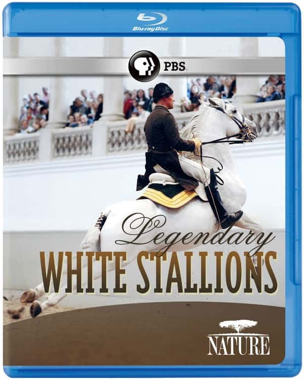 [PBS] 白雪名駒 / Legendary White Stallions-纪录片资源1080P/720P/360P高清标清网盘迅雷下载