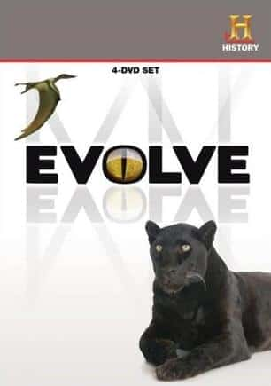 [History Channel] 进化 / Evolve-纪录片资源1080P/720P/360P高清标清网盘迅雷下载