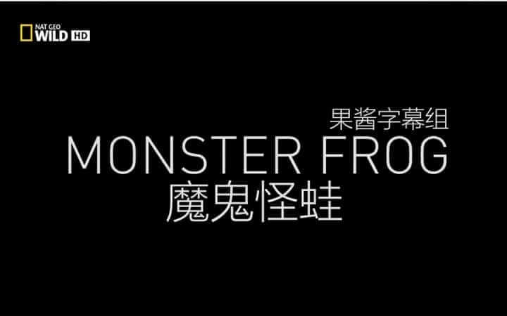 [国家地理] 魔鬼怪蛙 / Monster Frog-纪录片资源1080P/720P/360P高清标清网盘迅雷下载