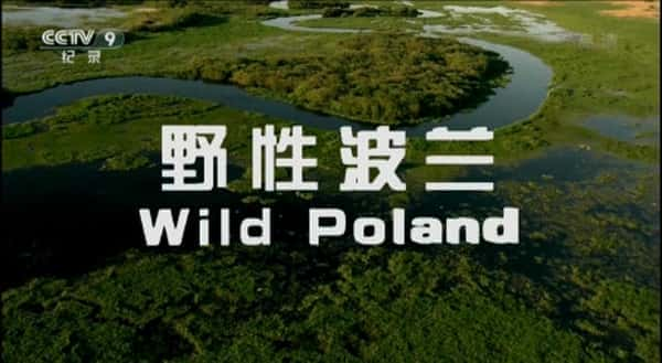 [其他] 野性波兰 / Wildes Polen-纪录片资源1080P/720P/360P高清标清网盘迅雷下载