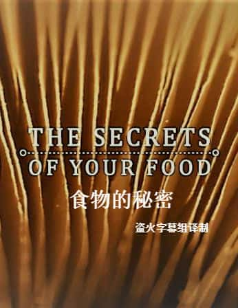 [BBC] 食物的秘密 全三集 / The Secrets Of Your Food-纪录片资源1080P/720P/360P高清标清网盘迅雷下载