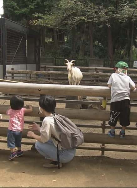 [NHK] 川崎 山丘上的动物园 / 川崎 丘の上の動物公園-纪录片资源1080P/720P/360P高清标清网盘迅雷下载