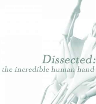 [BBC] 剖析手足：不可思议的人体 / Dissected The Incredible Human-纪录片资源1080P/720P/360P高清标清网盘迅雷下载