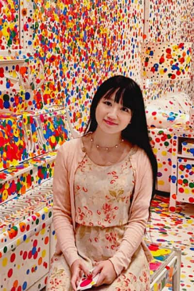 [公视] 圆点女王草间弥生 / Yayoi Kusama: The Polka Dot Princess-纪录片资源1080P/720P/360P高清标清网盘迅雷下载