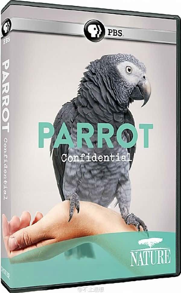 [PBS]  / Parrot Confidential-Ѹ