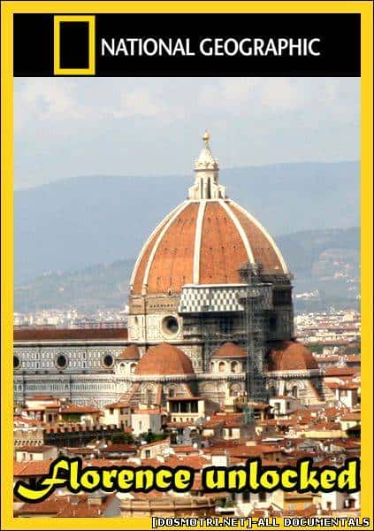 [ҵ]  / Florence unlocked-Ѹ