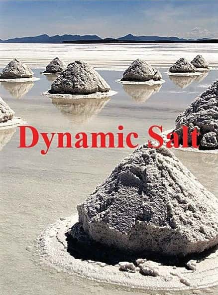 [BBC] ֮ / Dynamic Salt-Ѹ