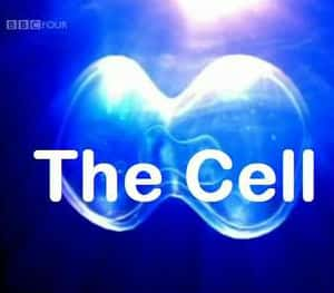 [BBC] ϸ / The Cell-Ѹ