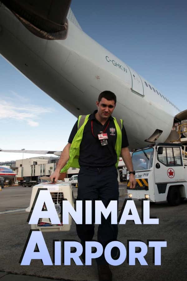 [BBC]  / Animal Airport-Ѹ