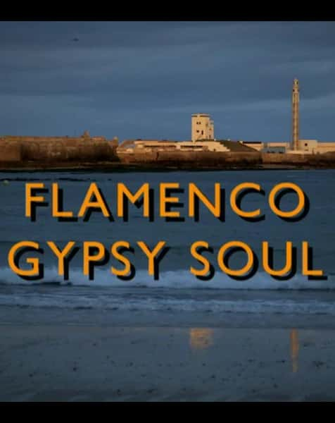 [BBC] Ÿ꣺֮ / Flamenco Gypsy Soul-Ѹ