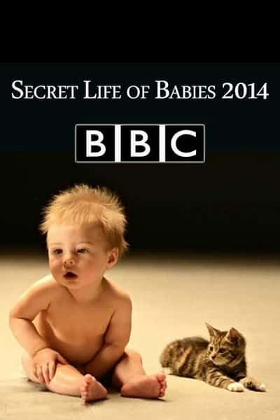 [BBC] Ӥ / Secret Life of Babies-Ѹ