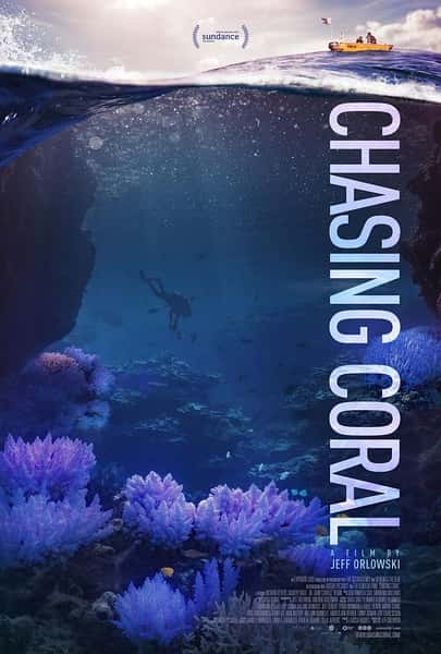 [] ׷ɺ / Chasing Coral-Ѹ