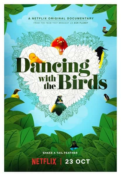 [] ȸ / Dancing with the Birds-Ѹ