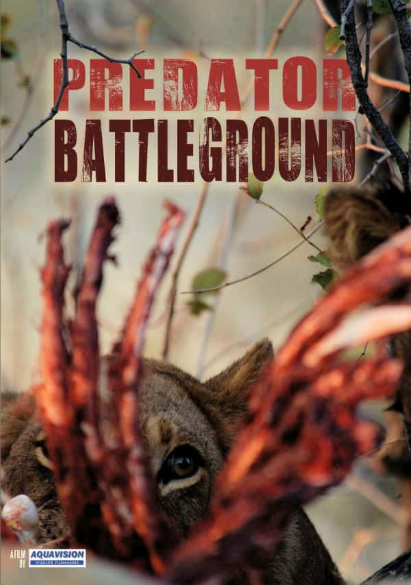 [ҵ] ʳս / Predator Battleground-Ѹ