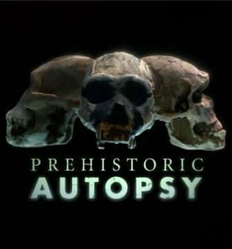 [BBC] ʷǰʬ / Prehistoric Autopsy / ʷǰʬ-Ѹ