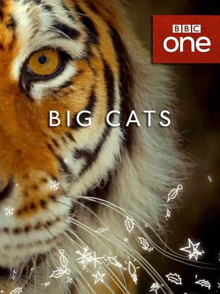 [BBC] è ȫ / Big Cats-Ѹ