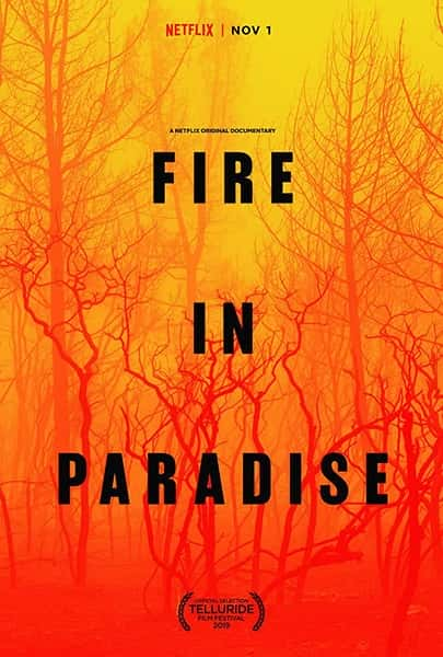 [Netflix]  / Fire in Paradise-Ѹ