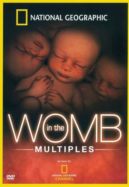 [国家地理] 子宫日记：多胞胎 / In the Womb: Multiples-纪录片资源1080P/720P/360P高清标清网盘迅雷下载