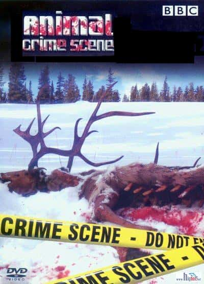 [BBC] ﷸֳ / Animal Crime Scene-Ѹ