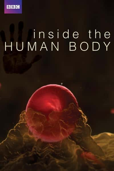 [BBC] 人体奥秘 / Inside the Human Body-纪录片资源1080P/720P/360P高清标清网盘迅雷下载