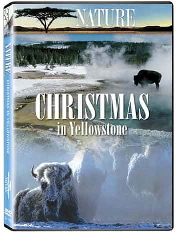 [PBS] ʯʥ / Nature Christmas in Yellowstone-Ѹ