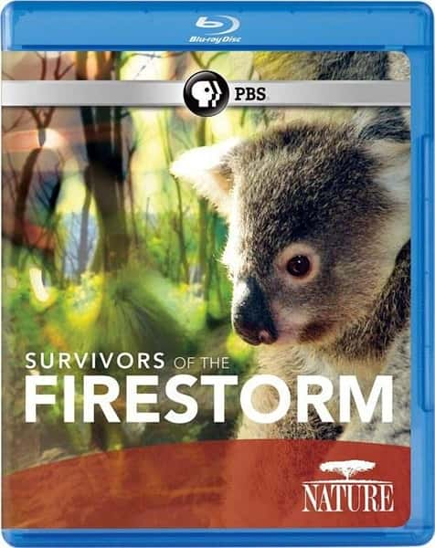 [PBS] Ҵ / Nature: Survivors of the Firestorm-Ѹ