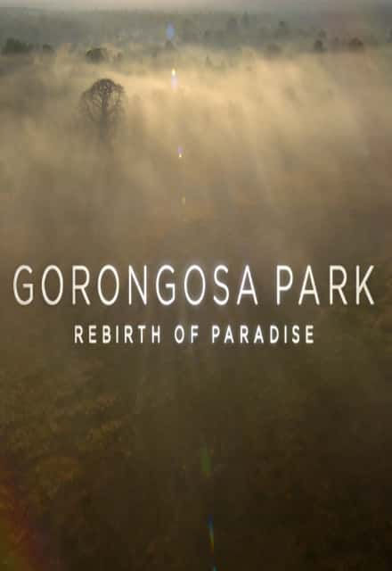 [PBS] ҹ԰  / Gorongosa Park-Ѹ