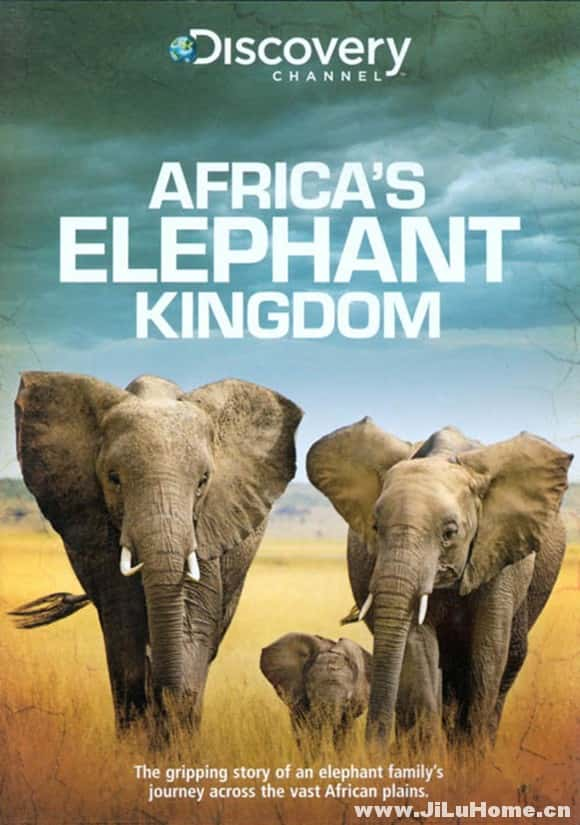 [Discovery] ޵Ĵ / Africas Elephant Kingdom -Ѹ