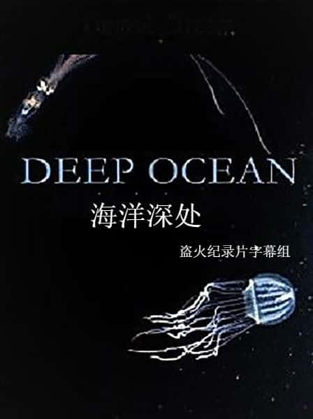 [NHK]  / Deep Ocean-Ѹ