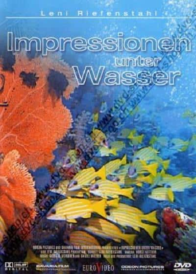 [] ˮӡ / Impressionen unter Wasser-Ѹ