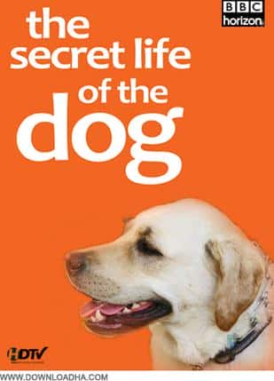 [BBC]  / The Secret Life of the Dog-Ѹ