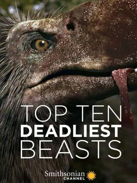 [] ʮĲʳ / Top Ten Deadliest Beasts-Ѹ