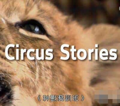 [TVB] ѵ / Circus Stories-Ѹ